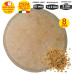 Prepizza familiar a la leña Pan Chapla 35 cm. aprox.